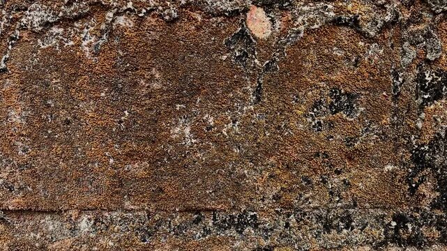 Weathered Brick Texture Close-up: A detailed, close-up view of a weathered brick surface, showcasing its rough texture, imperfections, and shades of brown and grey, hinting at age and durability.