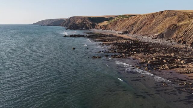 Very hot summer dry grasslands on the cliffs at Sandymouth Bay in Cornwall