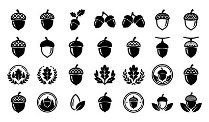 Acorn, Oak Leaf, Wreath and Forest Nature Black Silhouette Icon Collection Vector Set © Sukumary