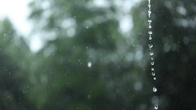 Heavy rain closeup with raindrops, eaves flow, bamboo leaf and calm white noise.