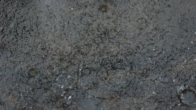 Heavy rain closeup with raindrops, eaves flow, bamboo leaf and calm white noise.
