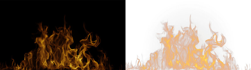 Fototapeta premium Flames rising from a fire on a transparent background with orange and white colors