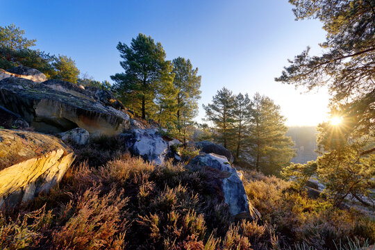The Mont Rouget in the Trois Pignons Forest. Fontainebleau Massif