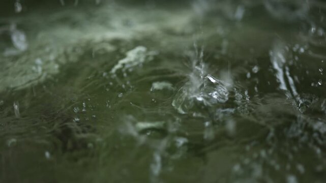 Heavy rain closeup with raindrops, eaves flow, bamboo leaf and calm white noise.