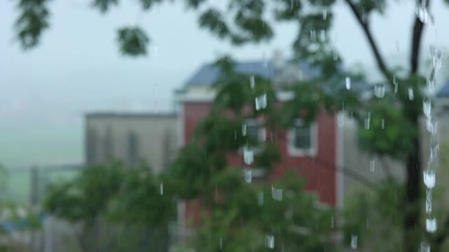 Heavy rain closeup with raindrops, eaves flow, bamboo leaf and calm white noise.