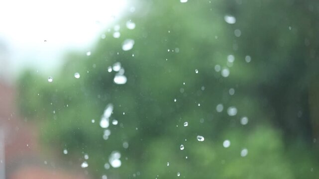 Heavy rain closeup with raindrops, eaves flow, bamboo leaf and calm white noise.