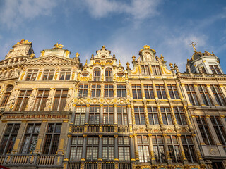 Fototapeta premium Historic guild houses with richly decorated golden facades on the famous Grand Place under blue sky.