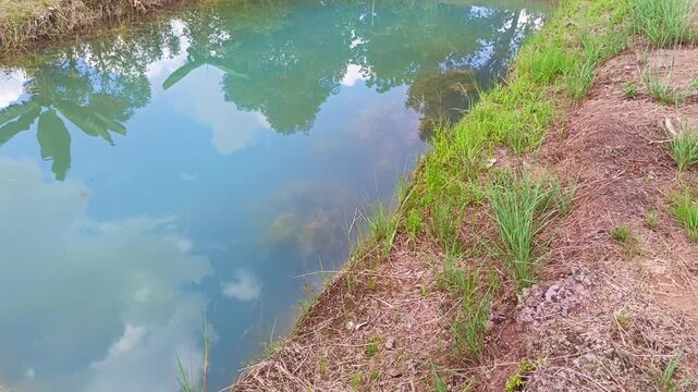 Symmetrical view of rural water trenches with clear reflection of clouds and trees