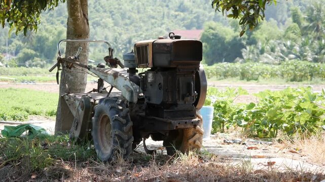 Old small tractor stands in a farm field by a tree, with green rows and hills in the background. Idle machinery.
