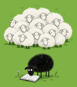 Playful illustration of a black sheep reading alone while a flock of white sheep gathers behind, symbolizing individuality, education, independent thinking, curiosity, and standing out from the crowd.