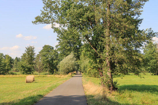 Sommer im Spreewald; Radweg bei Burg