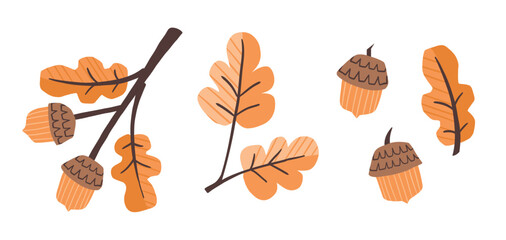 Cute Autumn Oak Leaf and Acorn Clipart Set. Hand drawn cottagecore sticker with orange oak leaf, acorn and branch for seasonal card and decoration design © Anna