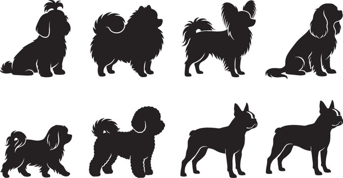 Collection of small toy dog breed black silhouettes including pomeranian poodle papillon and french bulldog isolated on white background