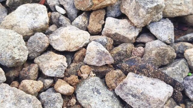 Close up slow moving shot of a rough gravel and stone texture background