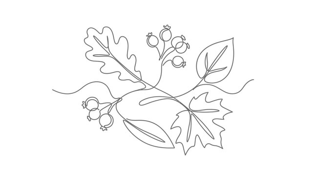 Continuous line drawing of autumn leaves and berries composition.