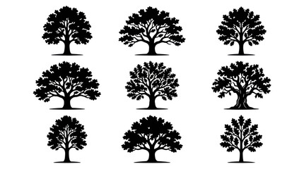 Fototapeta premium Colorful tree silhouettes collection