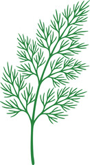 Obraz premium Fresh green dill sprig herbal plant culinary flavoring for natural cooking recipes used as seasoning in vegetable dishes and soups to add fragrant scent and savory taste for healthy meal