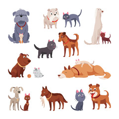 Fototapeta premium Cats and dogs friends collection. Different kinds of together sitting, lying, playing or walking isolated on white background. Funny flat cartoon colorful friendship pets set. Vector illustration