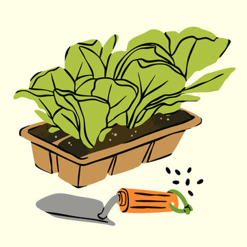 Sprouts, green baby plants, fresh leaves. Seedlings in small containers with soil peat. Growing, replanting, spring garden, hobby, farm concept. Hand drawn Vector illustration. Isolated design element