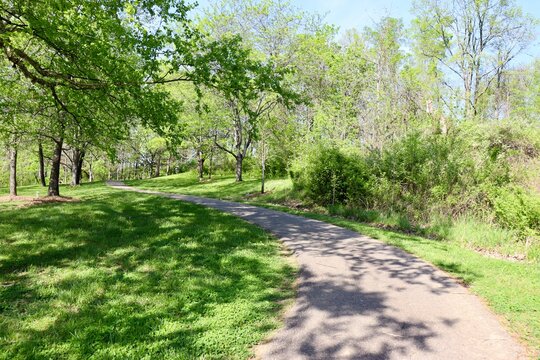 The pathway in the park on a sunny day.