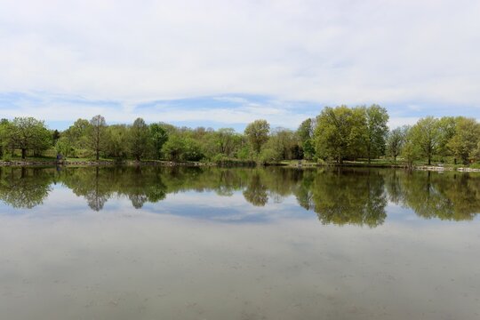 A quiet pond in the woods on a sunny day.