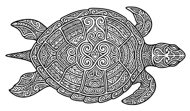 Intricate Zentangle sea turtle line art pattern for adult coloring book pages vector graphic design