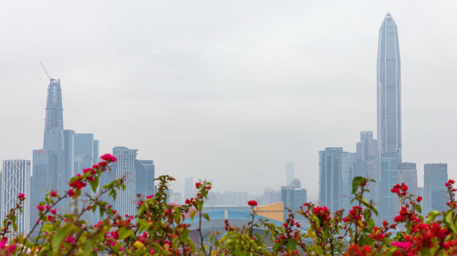 Shenzhen Skyline with Red Flowers and Modern Architecture