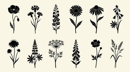 Floral silhouettes collection diverse botanicals © Ever