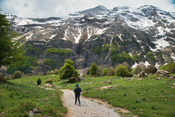 Fototapeta premium It displays a green informational sign indicating the route to the Chapel Trail in Tella, Huesca, featuring a chapel symbol and a yellow arrow pointing to the left. 