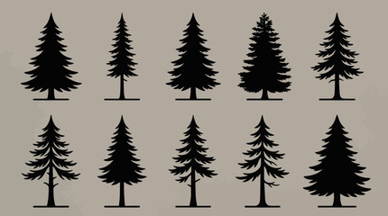 Fototapeta premium Various pine tree silhouettes