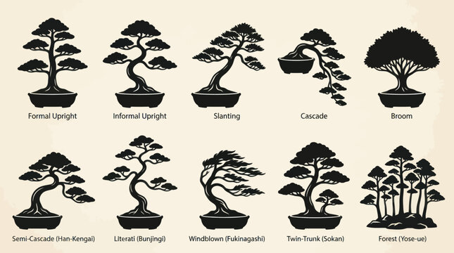 Various styles of bonsai trees
