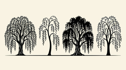 Weeping willow tree silhouettes © Surya