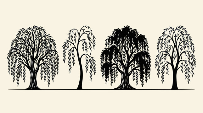 Weeping willow tree silhouettes