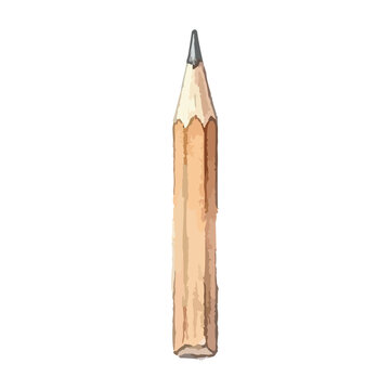 Watercolor and pencil vector illustration