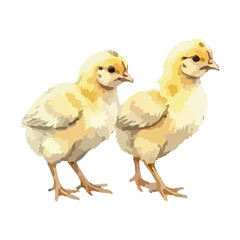 Watercolor vector illustration of a chicken © Menhikki