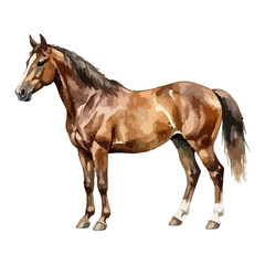 Naklejka premium Watercolor vector illustration of a horse