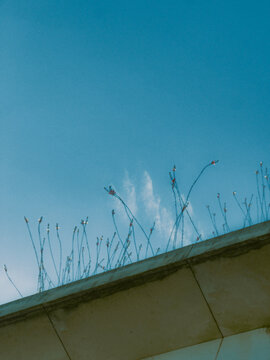 sky and clouds
