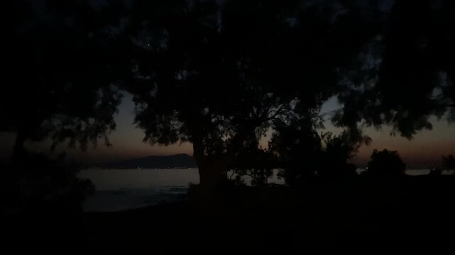 Blue hour evening over wild cedar tree beach on Naxos island Greece