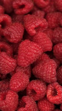 Fresh juicy raspberries close up, rotation. Healthy organic nutrition
