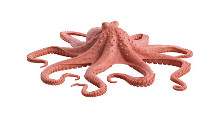 Pink octopus with eight tentacles spread out © Elodie