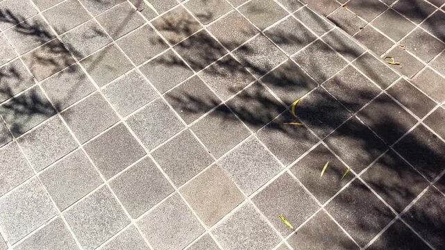 High angle tracking shot of leaves silhouette and shadow moving on grey tiled floor