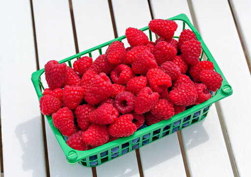 Small Green Basket Filled with Fresh Red Raspberries on a Table