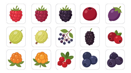 Collection of fresh berries illustrations © Ultrasjarna