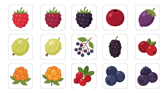 Collection of fresh berries illustrations