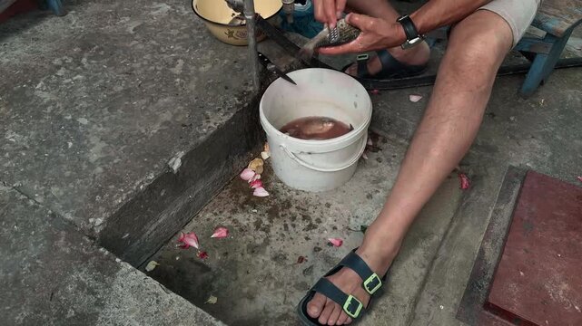 Anonymous male fisherman cleaning fresh caught river fish from scales using metal tool over a white bucket in rural backyard concrete steps real life authentic documentary handheld arc shot