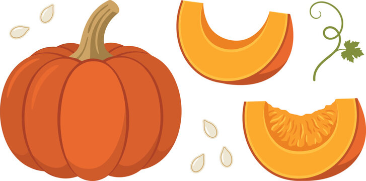 Organic autumn pumpkin flat vector icon collection with raw gourd pieces seeds and stem elements for thanksgiving and halloween harvest design layouts