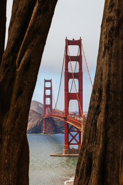 View of the iconic Golden Gate Bridge framed by trees on Baker Beach in San Francisco USA