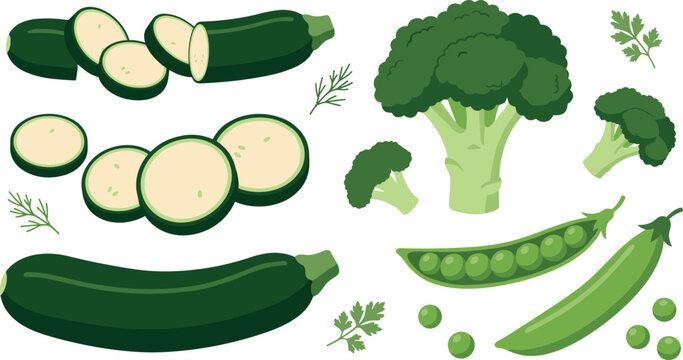 Healthy green food flat vector icon collection with raw zucchini broccoli stalk and pea pods for culinary recipe and nutrition graphic design