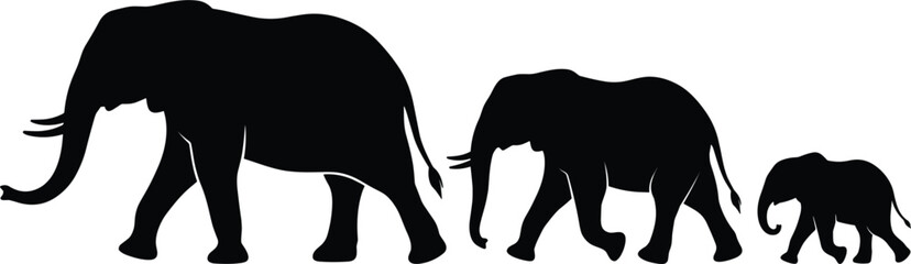 Elephant family silhouettes, adult parent and baby wildlife animal collection isolated on white vector illustration © Arishfa