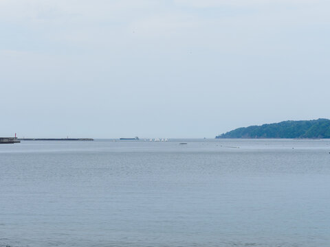 藤の川海水浴場からヨットを見る